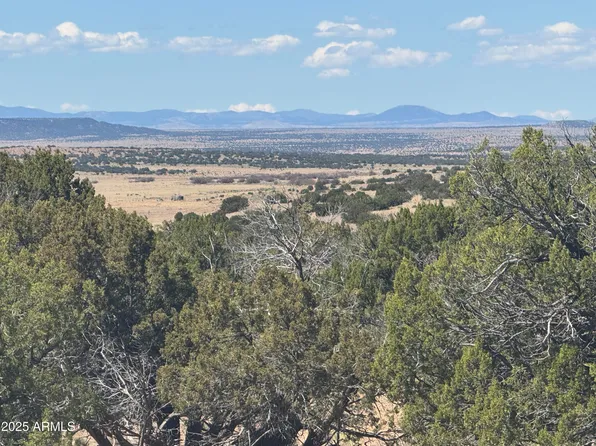 Lot 753 Woodland Valley Ranch -- #753, St Johns, AZ 85936