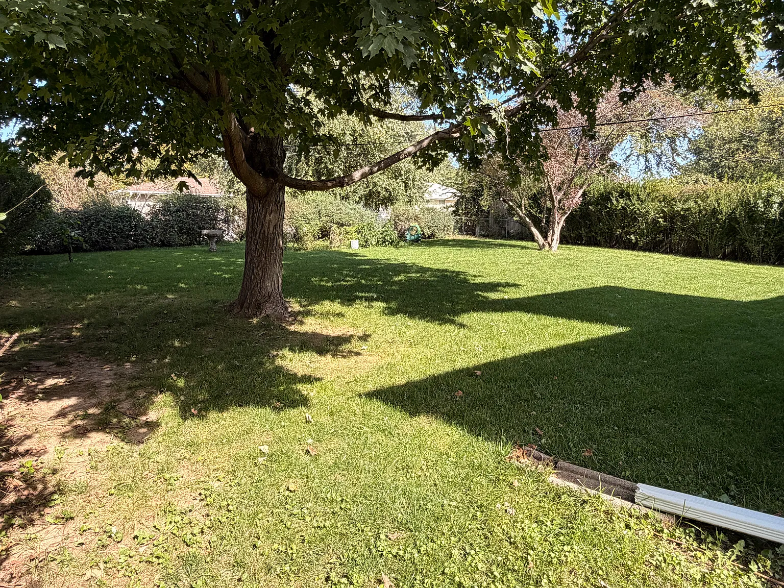3 bed, 1344 sqft, $2,150 — Photo 3