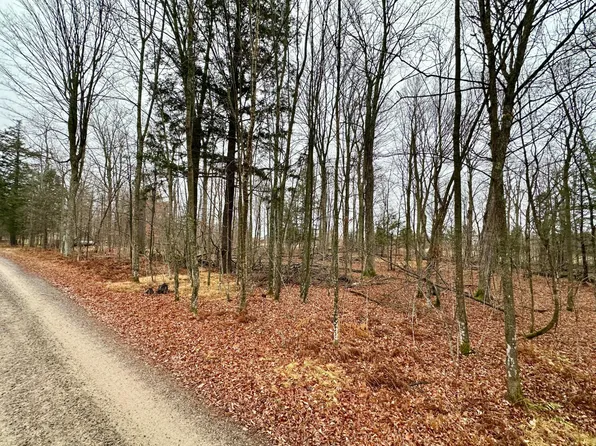 LOT 36 Fairway Dr, Pickerel, WI 54465
