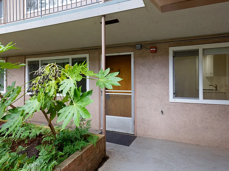 184 Callan — Photo 20