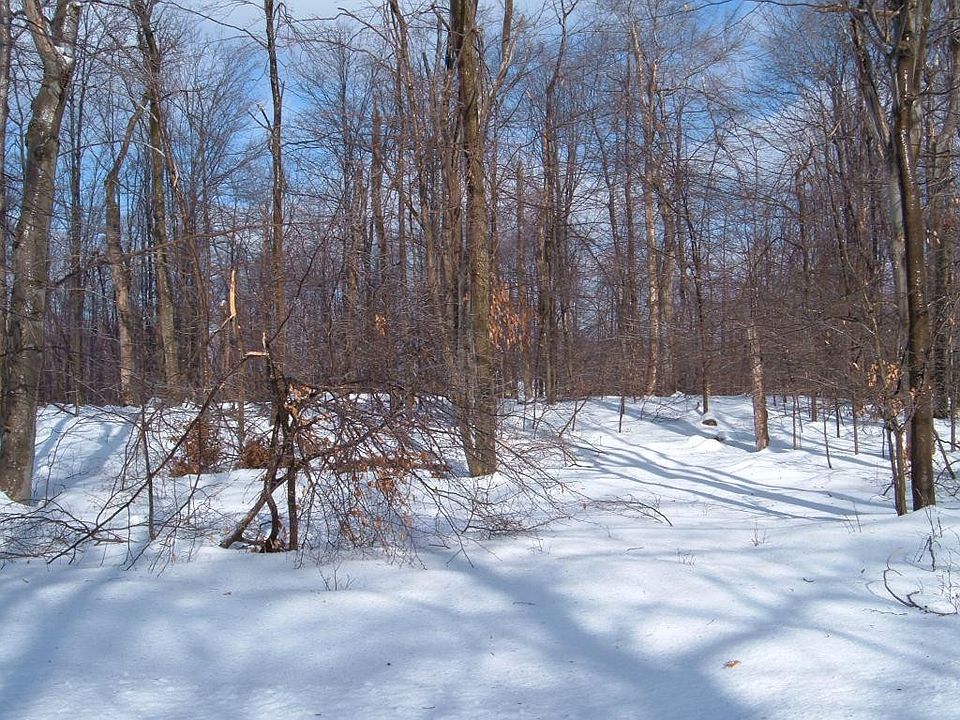 2nd image of 46 Logger Rd