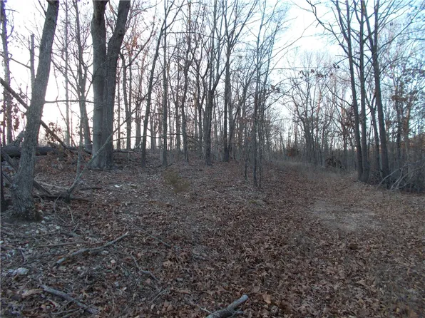 TRACT Seven Oriole, Pineville, MO 64856