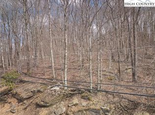 217 Overbrook Trail, Beech Mountain, NC 28604