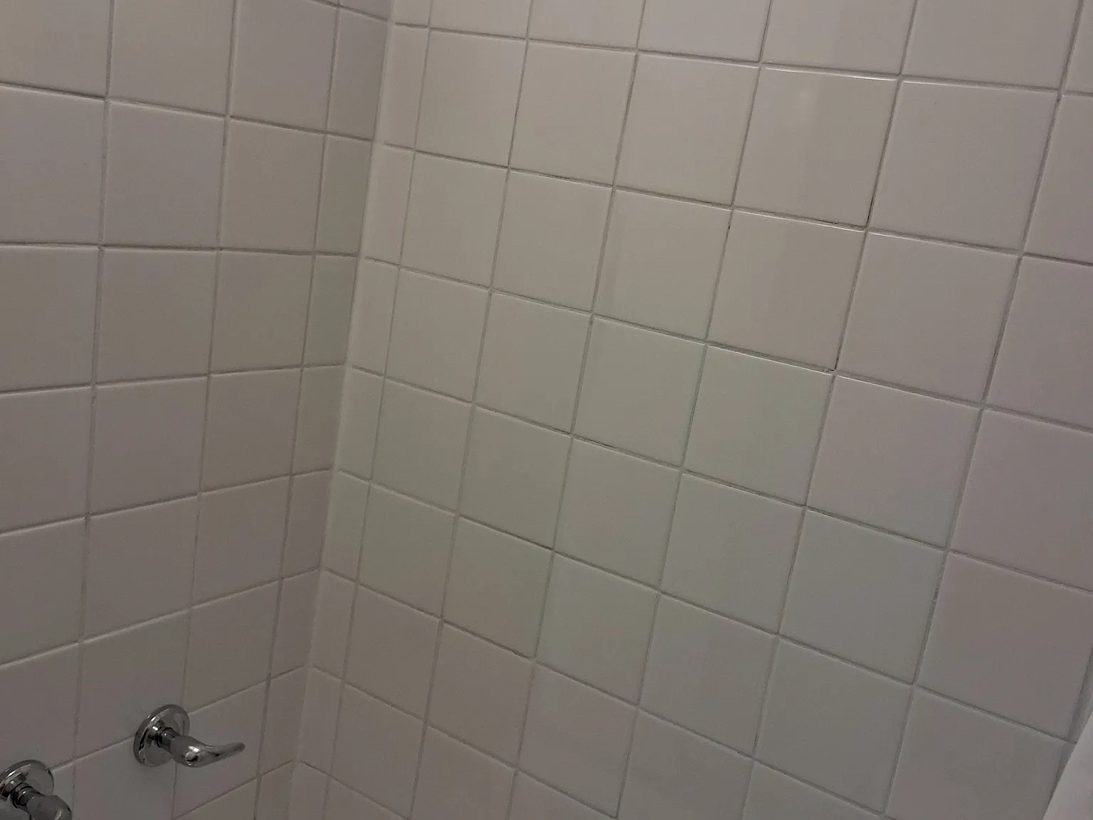 1 bed, 564 sqft, $750 — Photo 1
