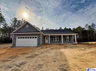 6700 George Coker Ln, Cheraw, SC 29520