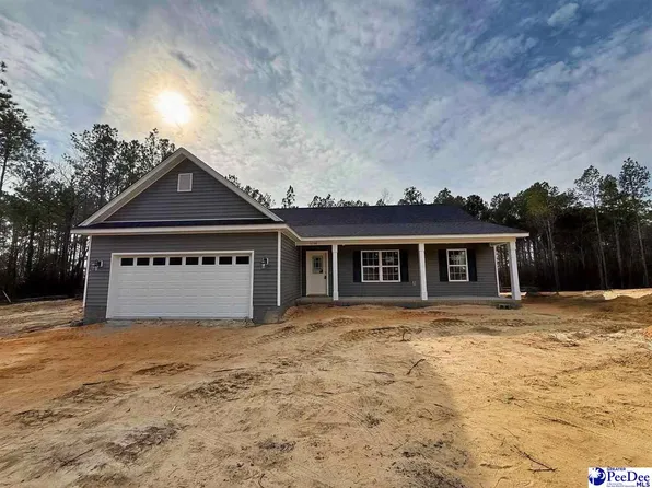 6700 George Coker Ln, Cheraw, SC 29520