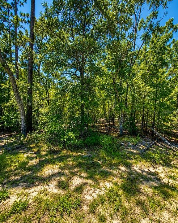 2nd image of 507 & 509 BADEN POWELL ROAD LOT 11