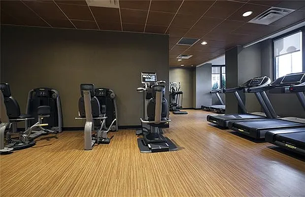 Rented by Luxury Habitat | media 15