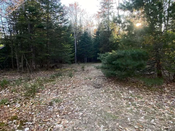 Ross Lake Rd, Shingleton, MI 49884