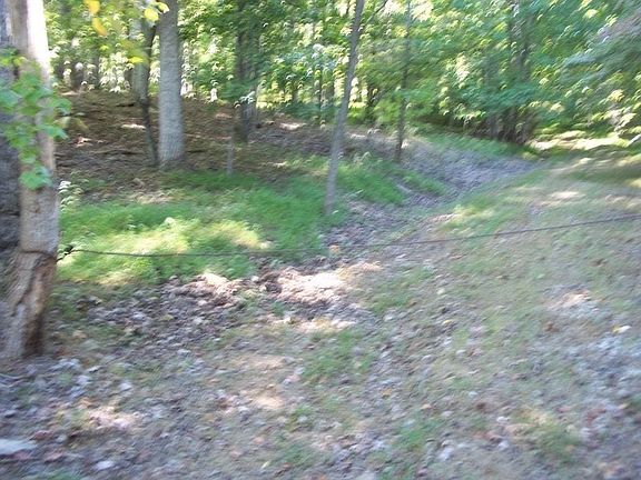 driveway up to property from buterfly ln