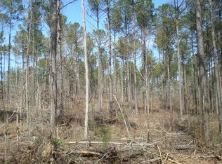 Rock Springs Rd, Jacksons Gap, AL 36861