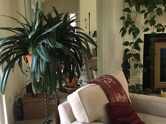 Living Room from Entry