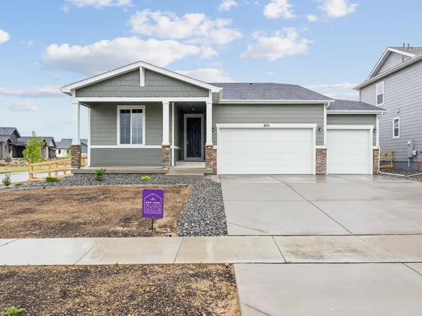 803 Mesic Ln, Windsor, CO 80550