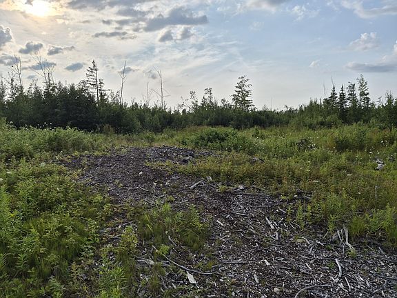 5th image of V/l Black Bear Hwy