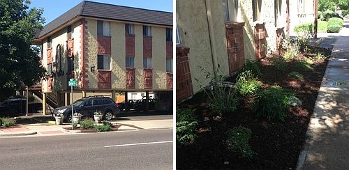5th image of 1300 Clayton St APT 202
