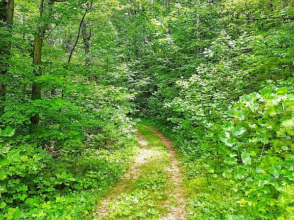 3rd image of LOT 50 S Highway 340