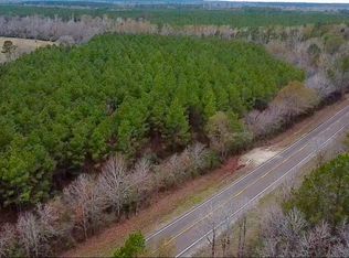 358 Holcombe Rd, Groveton, TX 75845