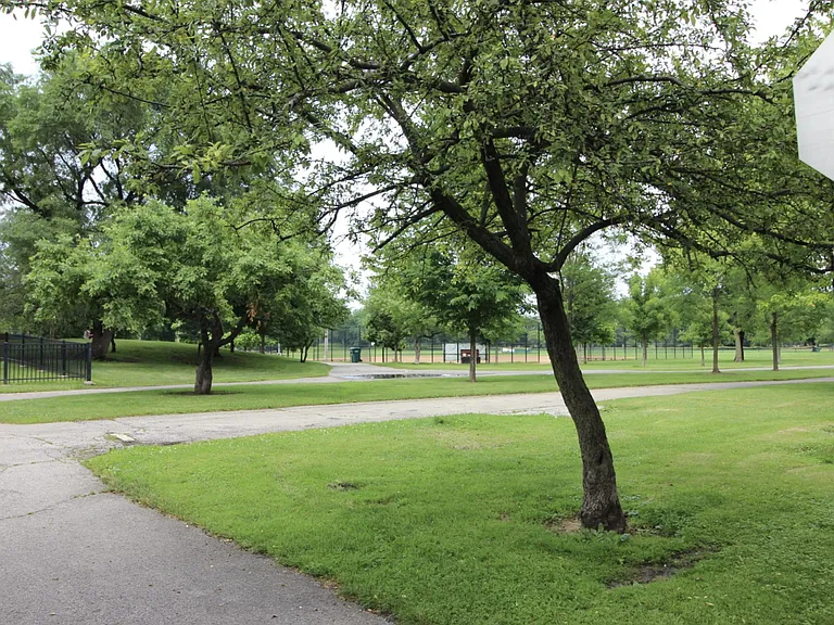 Nearby Warren Park