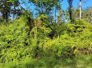 Ginger Rd LOT 83, Pahoa, HI 96778