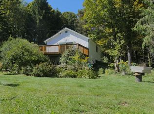 3 Henry Williams Rd, Roxbury, NY 12474