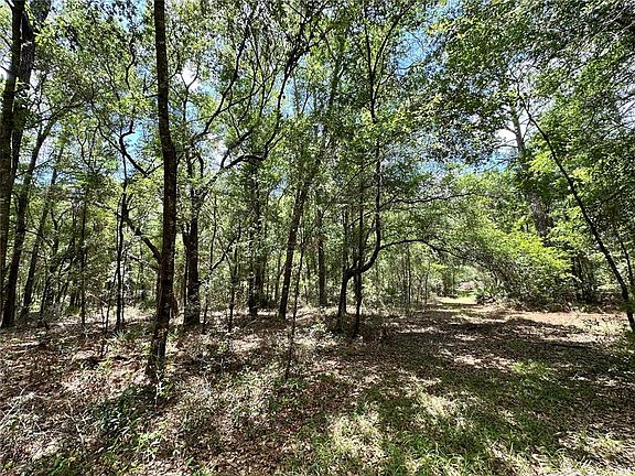 5th image of 13070 NE 78th Pl Lot 3