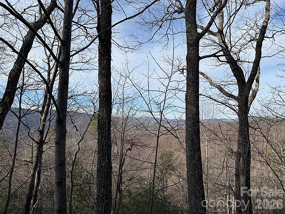 5th image of Maple Valley Ln #207 & 220