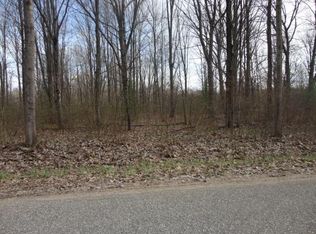 1851 W Kittle Rd, Mio, MI 48647