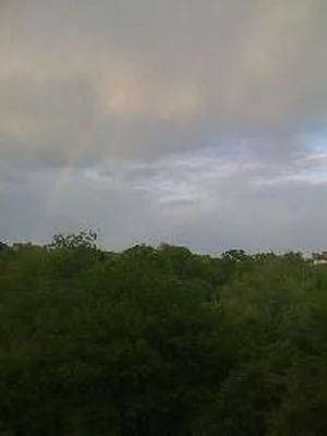 Rented by Corcoran | media 31