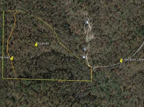 790 Little Buck Ln, Yellville, AR 72687