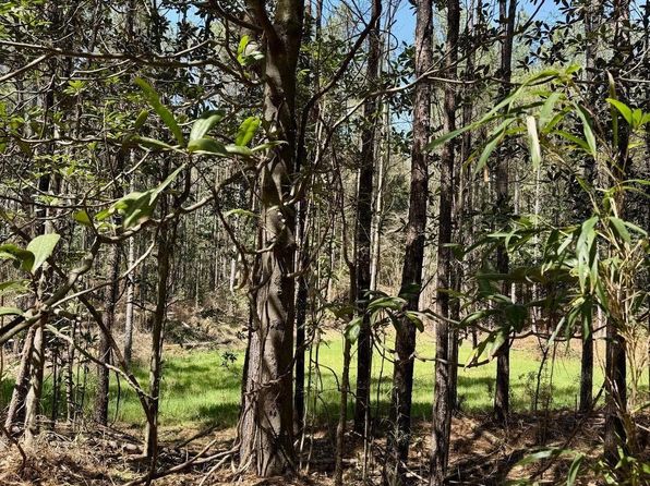 0 Lower Woodville Rd, Woodville, MS 39669