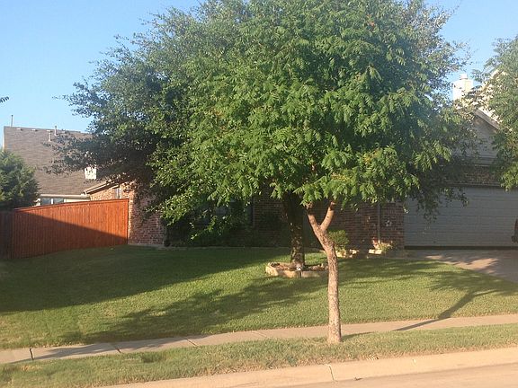 5th image of 13128 Berrywood Trl