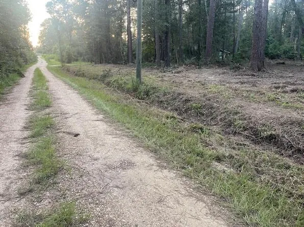 Shorty Wilson Rd, Loranger, LA 70446