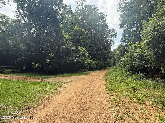 5th image of 3042 Brandi Rd