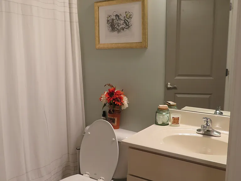 Guest bath