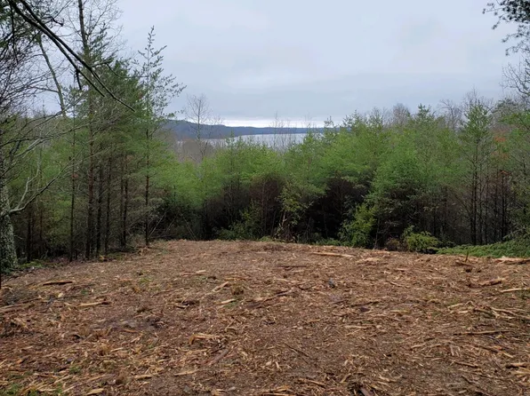 0 Turtle Point Ln, Waverly, TN 37185