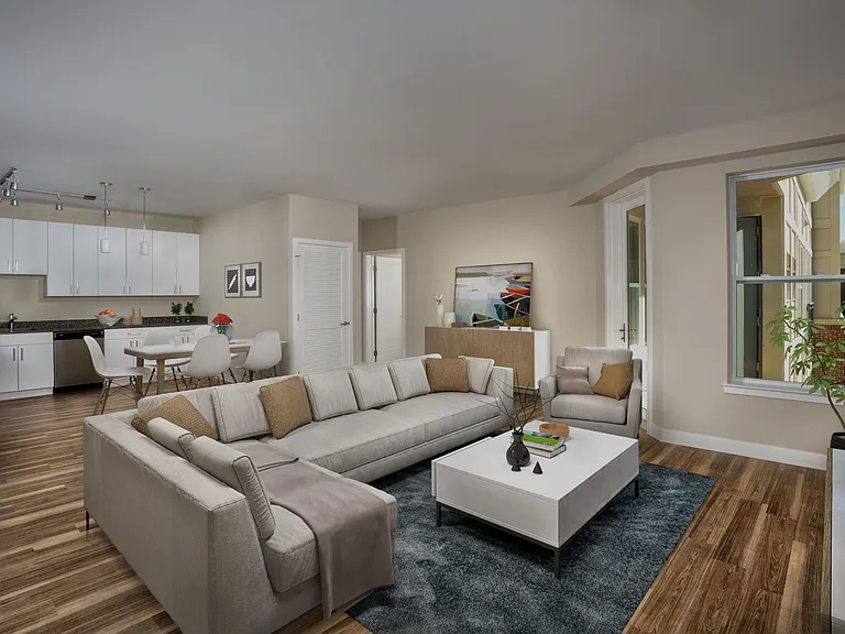 1 Bedroom living room/kitchen