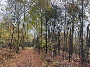 83 Berry Rd, Afton, NY 13730