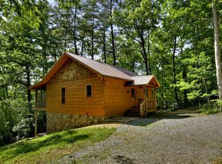 915 Davenport Mountain Rd, Blue Ridge, GA 30513