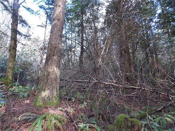 3rd image of 0 Black Bear Lane SE