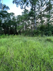 393 Sherrow  River Drive SW, Shallotte, NC, 28470
