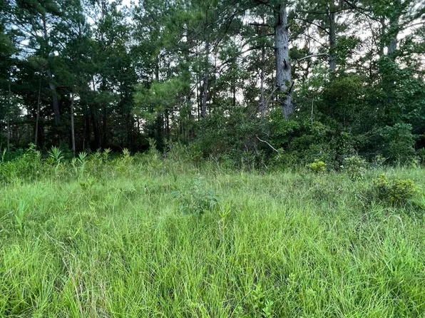 393 Sherrow  River Drive SW, Shallotte, NC 28470