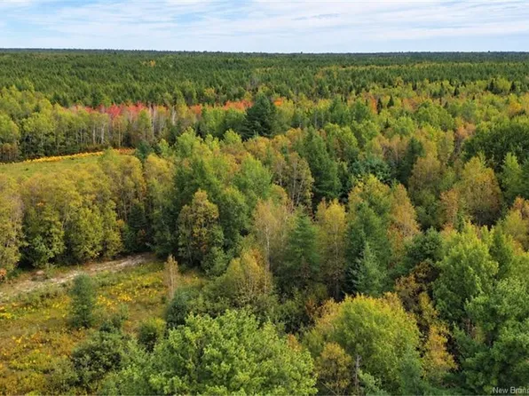 LOT Weldfield Collette Rd, Glenelg, NB E1N 5H1