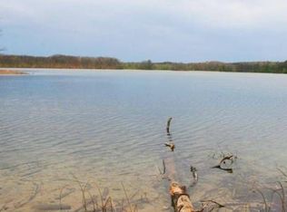 8736 Lake Of The Woods Rd, Bellaire, MI 49615