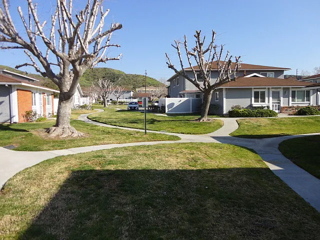 20833 Plum Canyon Rd — Photo 8