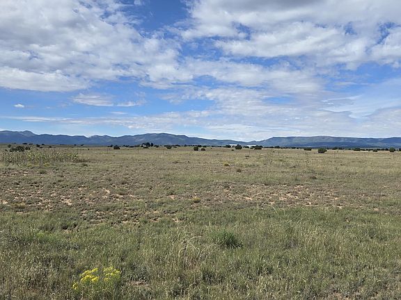 5th image of 235 Riley Rd