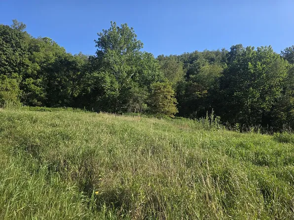 682 Dolezal Rd, Dillonvale, OH 43917