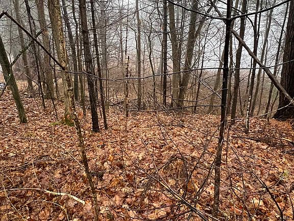 2nd image of 0 Town Highway 69
