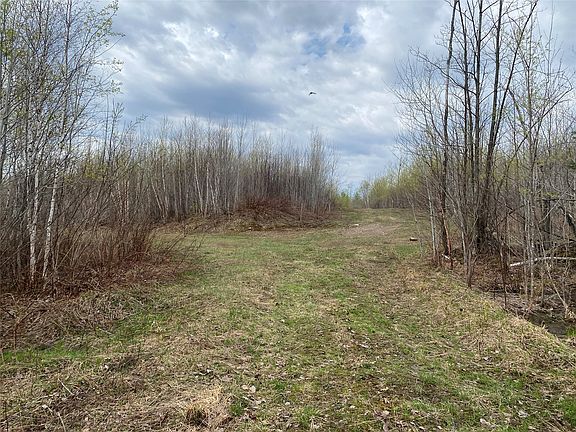3rd image of Near Wilson Lake Road