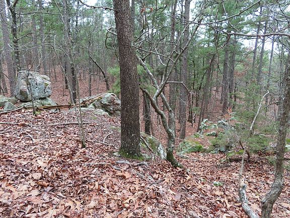 4th image of Panola Rd