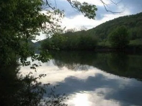 2449 Shoals Ln, Hiltons, VA 24258